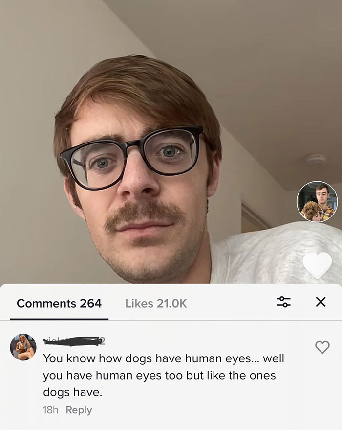 Comment roasts - rare insults dog eyes