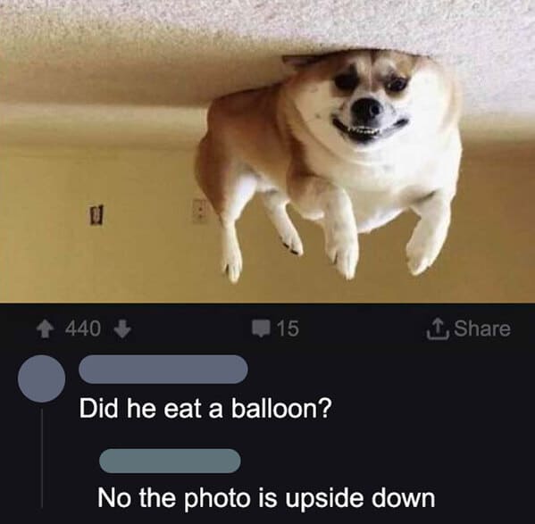 40 People Who Totally Missed The Joke.