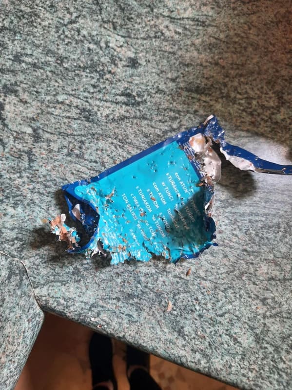 “A neighbour was house sitting for my cat while I was away. She has a dog. I told her the dog wasn’t allowed in my house. I come back to about 30 cat pouches looking like this – “your cat did it I couldn’t stop her”. My cat is 14 and has no teeth.”