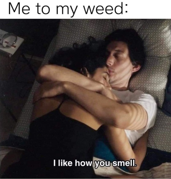 funny and naughty memes for adults - photo caption - Me to my weed I how you smell.