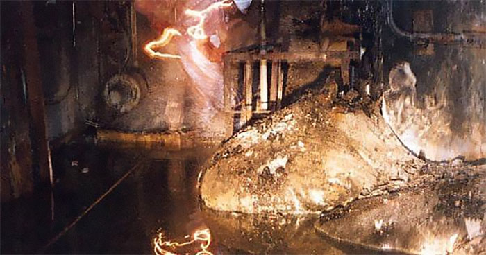 facts - fun facts - chernobyl elephant foot