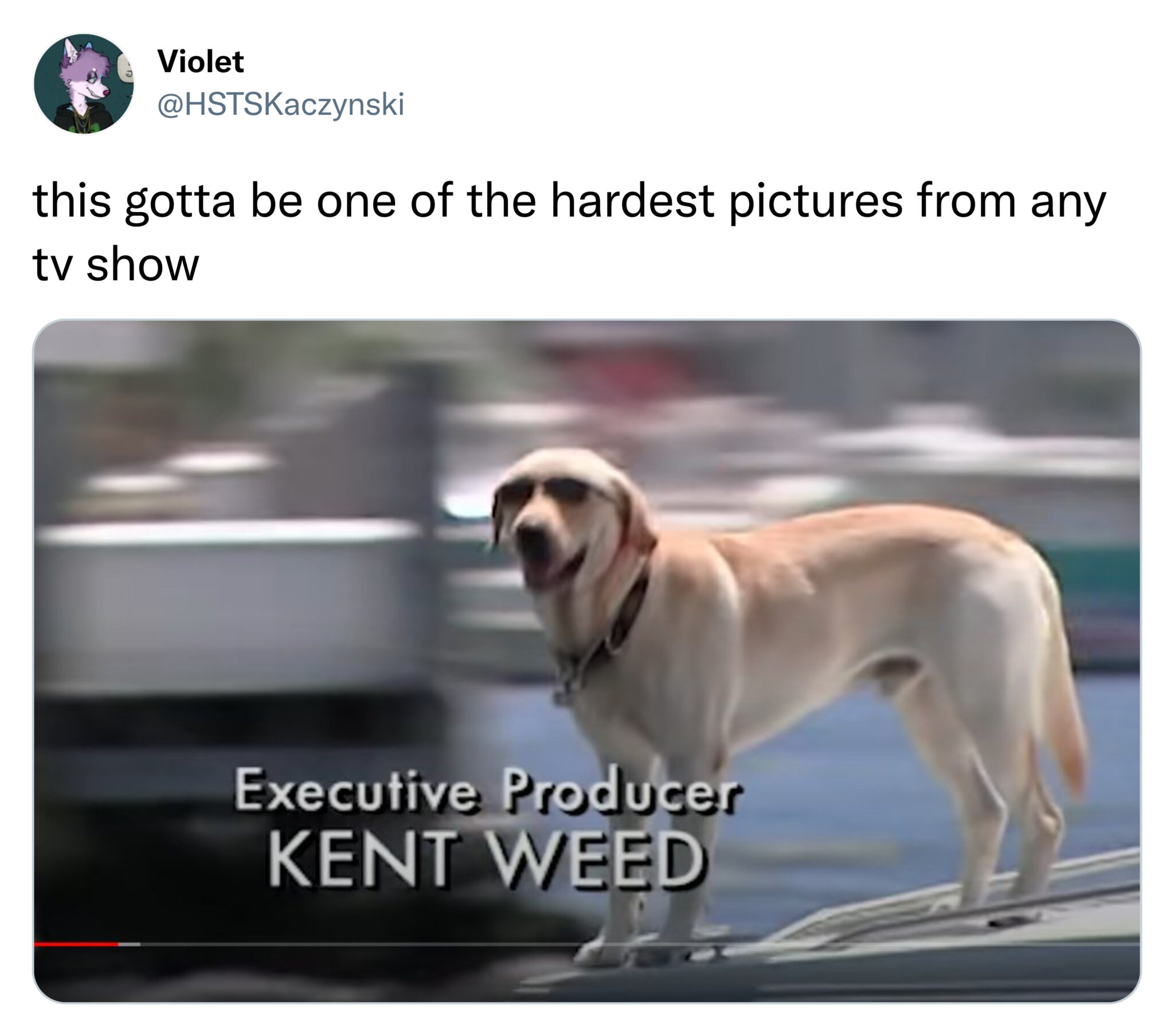 savage tweets - photo caption - Violet this gotta be one of the hardest pictures from any tv show Executive Producer Kent Weed
