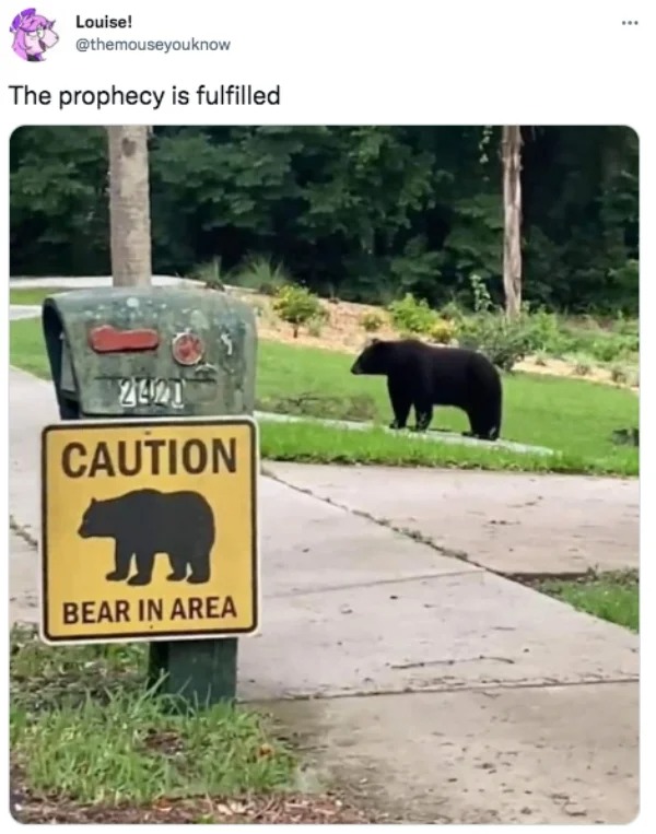 savage tweets - rip current sign - Louise! The prophecy is fulfilled 2421 Caution Bear In Area sche ...