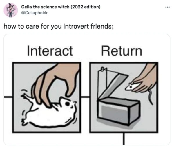 savage tweets - care for introvert friend - Cella the science witch 2022 edition how to care for you introvert friends; Interact Return