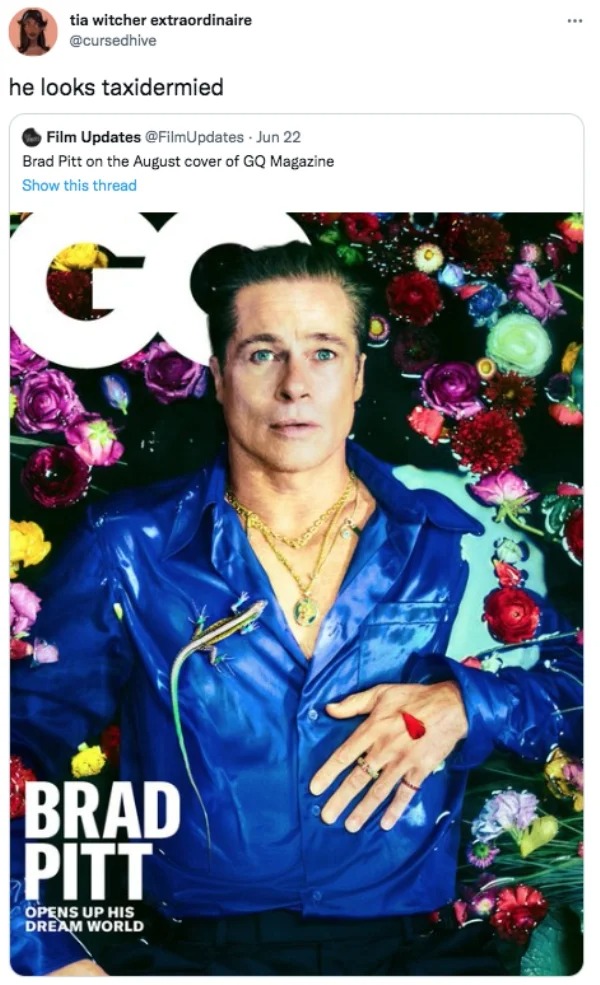 savage tweets --  brad pitt gq cover - tia witcher extraordinaire he looks taxidermied Film Updates Jun 22 Brad Pitt on the August cover of Gq Magazine Show this thread Brad Pitt Opens Up His Dream World