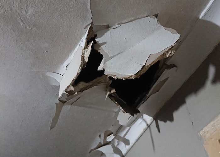 landlords - hole in the ceiling