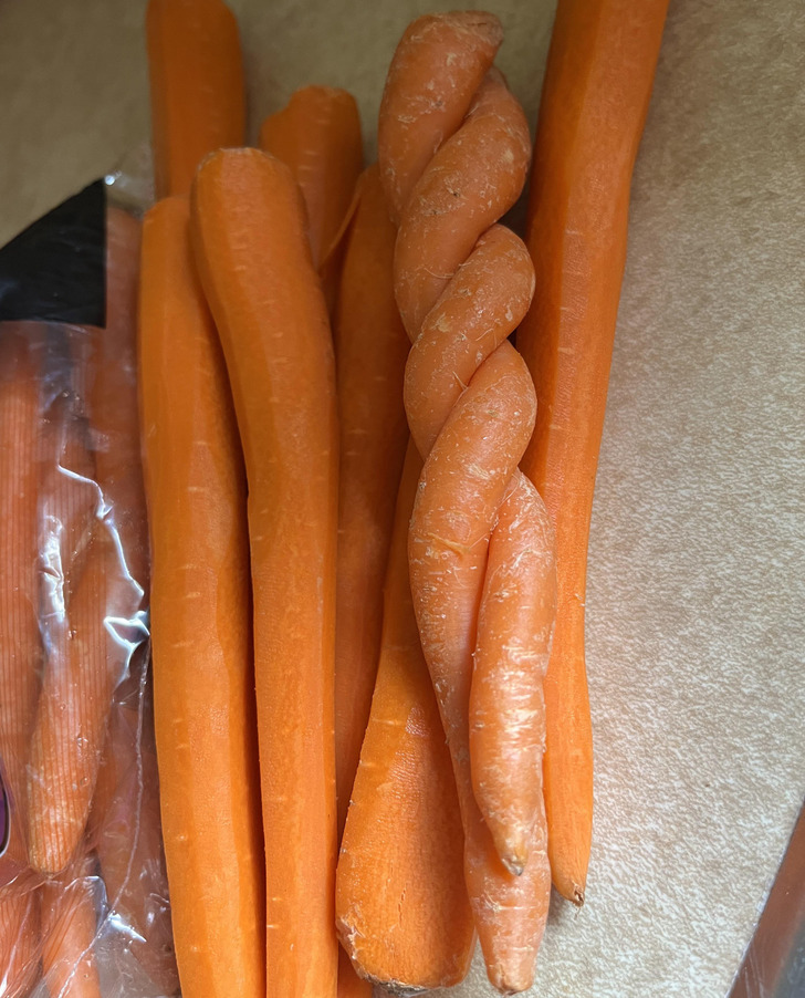 “Twisted together carrots I found in a bag of carrots”