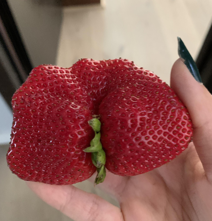 “This extremely mutated strawberry”