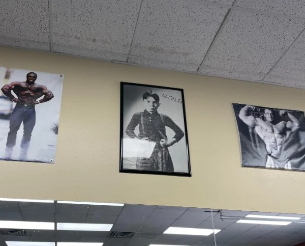 “This bodybuilding gym has a picture of Alfalfa.”