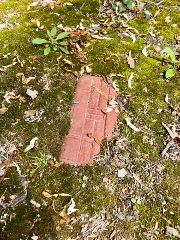 “Bricks are constantly “growing” out of the ground all over our property because in the late 1800’s there was a brick manufacturing company located here.”