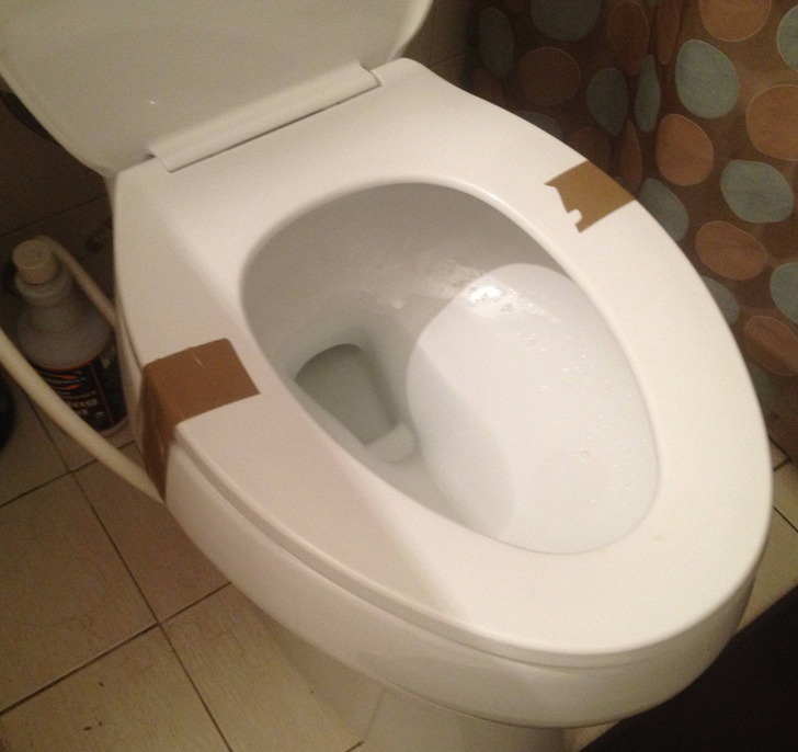 “My girlfriend is always complaining about the toilet seat, and today I came home to this.”