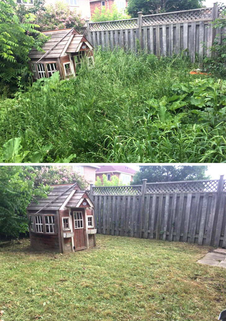 “Before and after I cleaned my backyard”