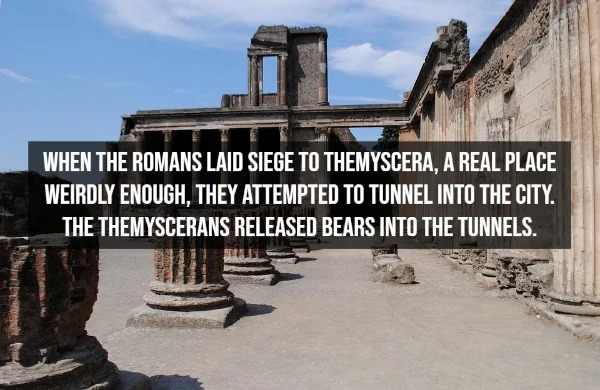 15 Ridiculous Facts From History.