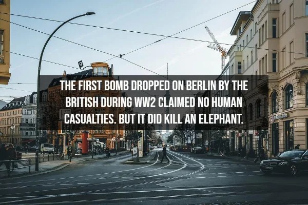 15 Ridiculous Facts From History.