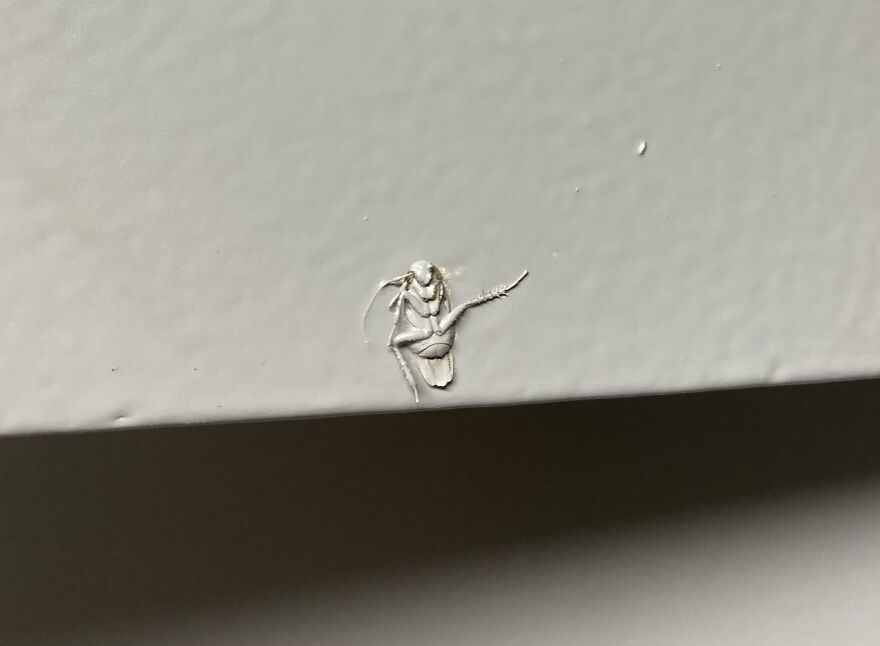 30 People Who Had One Job And Failed.