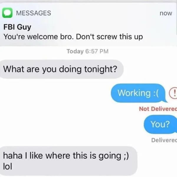 you text meme - Messages Fbi Guy You're welcome bro. Don't screw this up Today What are you doing tonight? now Working !! Not Deliverec haha I where this is going ; lol You? Deliverec
