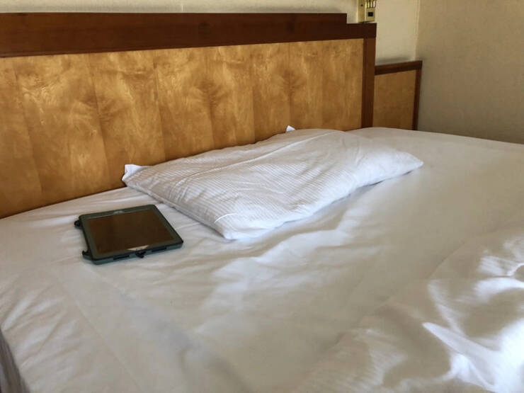 “My pillow in my €120 a night hotel”