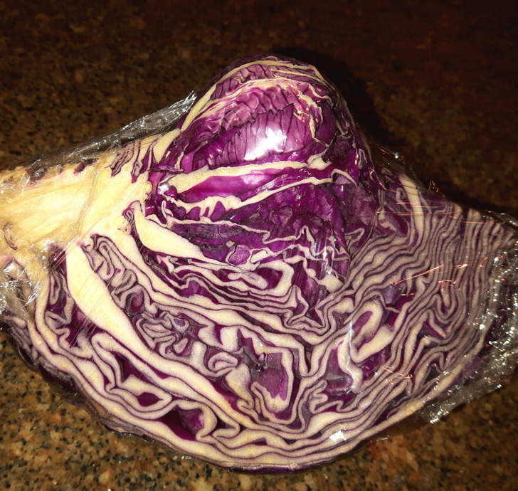“I left a cabbage in my fridge for too long and now it’s pregnant with another cabbage.”