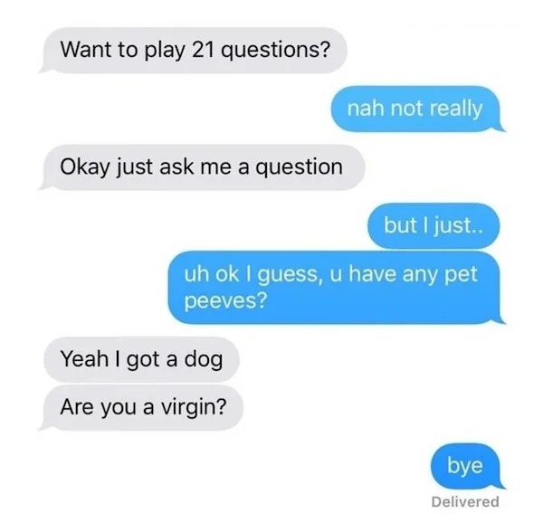 cringe lords - 21 questions meme - Want to play 21 questions? Okay just ask me a question nah not really but I just.. uh ok I guess, u have any pet peeves? Yeah I got a dog Are you a virgin? bye Delivered