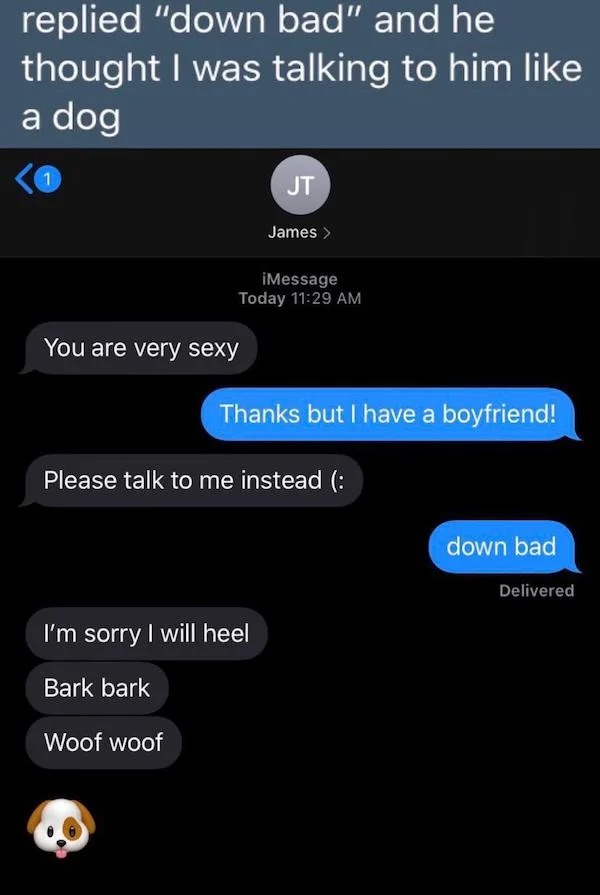 cringe lords - down bad barking meme - replied "down bad" and he thought I was talking to him a dog You are very sexy Jt iMessage Today James > Thanks but I have a boyfriend! I'm sorry I will heel Bark bark Woof woof Please talk to me instead down bad Del