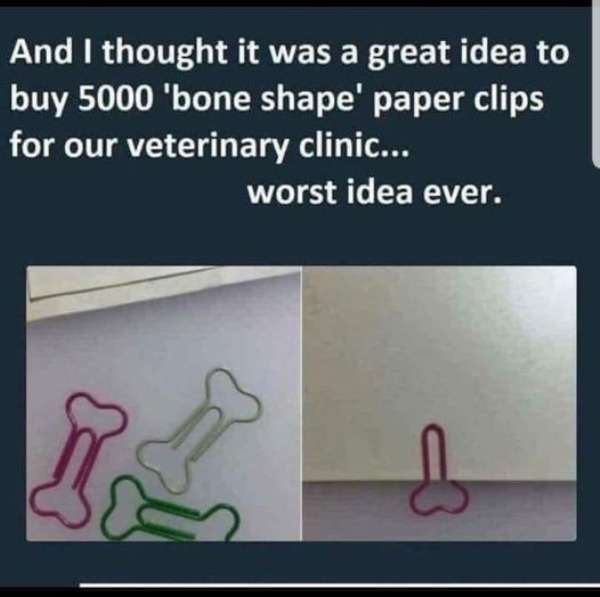adult themed memes - bad - And I thought it was a great idea to buy 5000 'bone shape' paper clips for our veterinary clinic... worst idea ever.