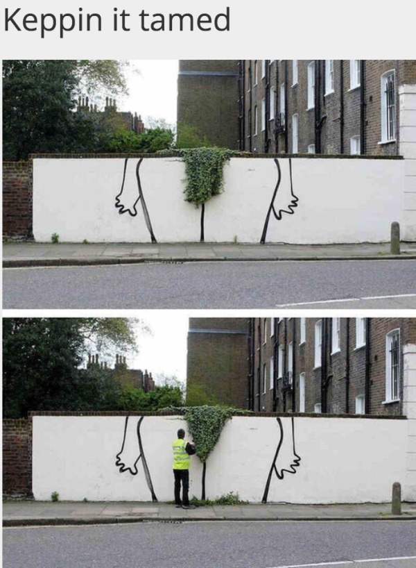 adult themed memes - funny hedge trimming - Keppin it tamed