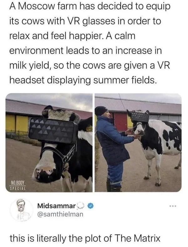 oddly terrifying - cows vr matrix - A Moscow farm has decided to equip its cows with Vr glasses in order to relax and feel happier. A calm environment leads to an increase in milk yield, so the cows are given a Vr headset displaying summer fields. No.Body