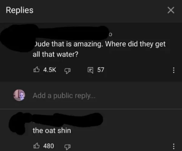 impressively stupid people - light - Replies Jude that is amazing. Where did they get all that water? Add a public ... the oat shin 480 57 X