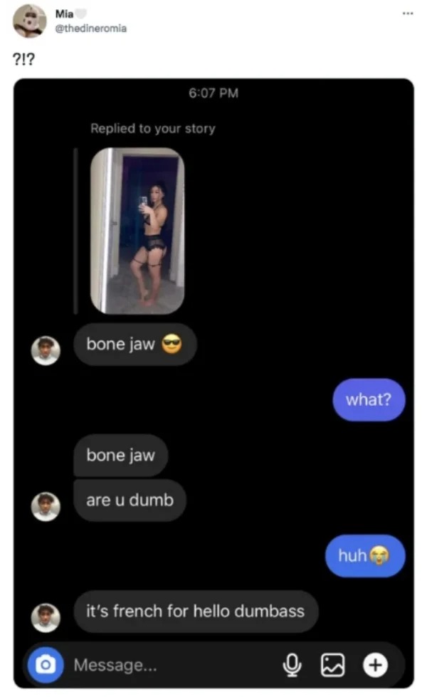 impressively stupid people - electronics - ?!? Mia Replied to your story bone jaw bone jaw are u dumb it's french for hello dumbass Message... O what? huh