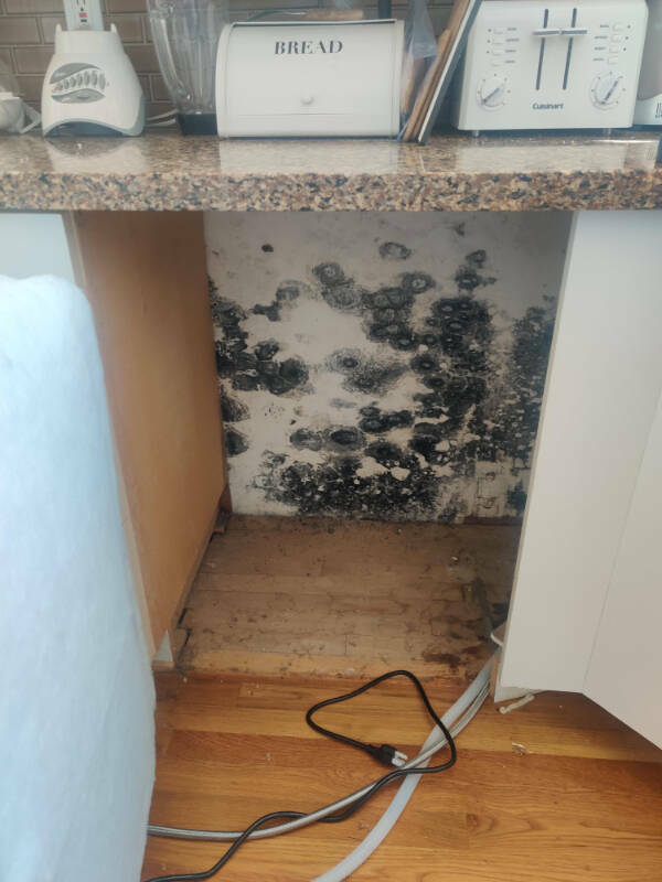 “Was Excited to get my new Dishwasher Installed Until I Found What was Behind the old one.”