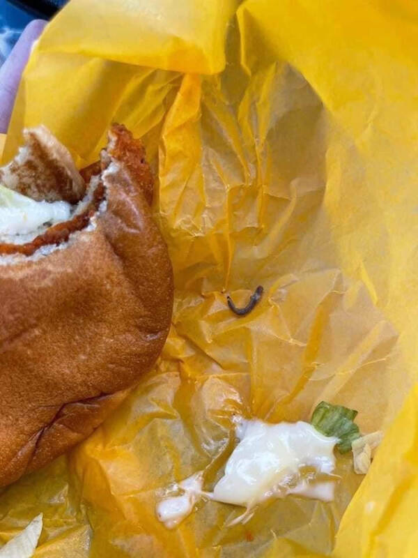 “Found this in my McChicken today after taking multiple bites. There were more wriggling inside the chicken patty.”