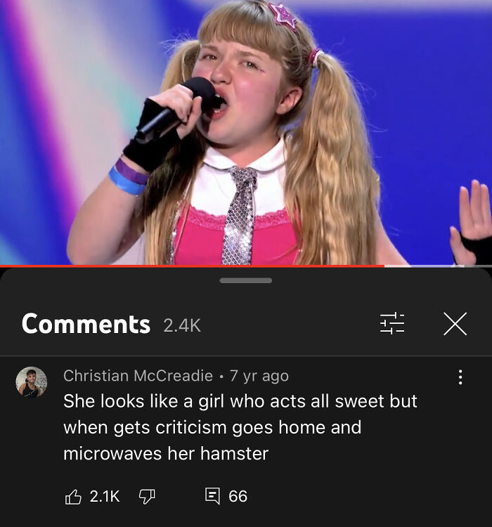 Youtube Comments - music artist - She looks a girl who acts all sweet but when gets criticism goes home and microwaves her hamster