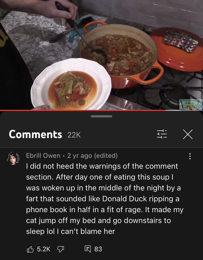Youtube Comments - I did not heed the warnings of the comment section. After day one of eating this soup I was woken up in the middle of the night by a fart that sounded Donald Duck ripping a phone book in half in a fit of rage. It mad