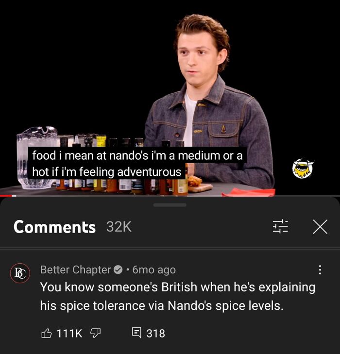 Youtube Comments - photo caption - food i mean at nando's i'm a medium or a hot if i'm feeling adventurous  Better Chapter 6mo ago You know someone's British when he's explaining his spice tolerance via Nando's spice levels.