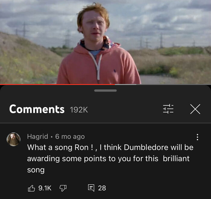 Youtube Comments - I think Dumbledore will be awarding some points to you for this brilliant song