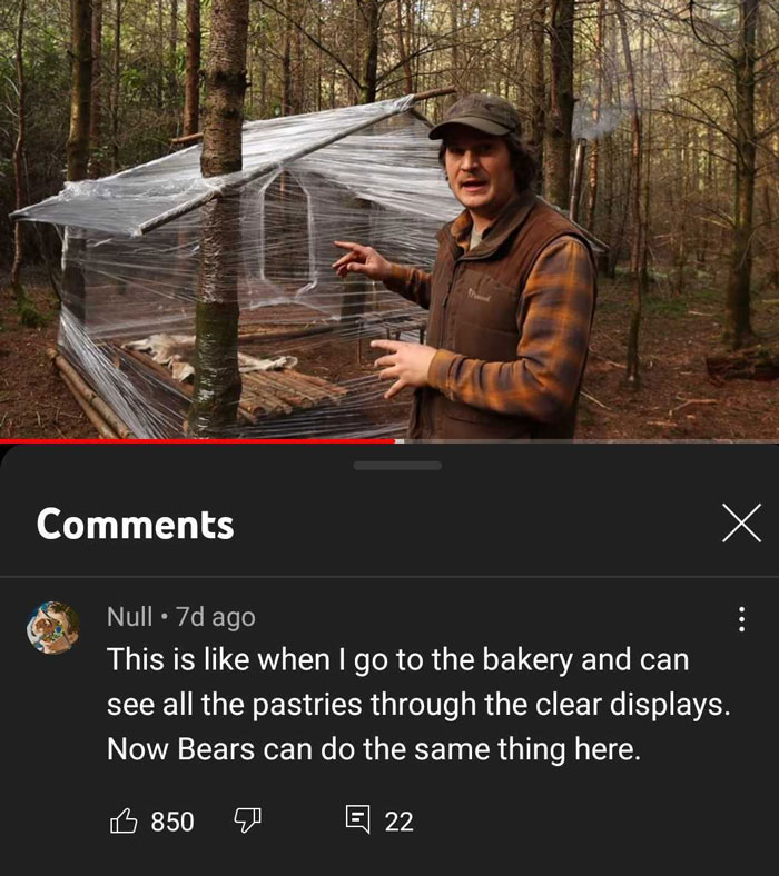 Youtube Comments - This is when I go to the bakery and can see all the pastries through the clear displays. Now Bears can do the same thing here.