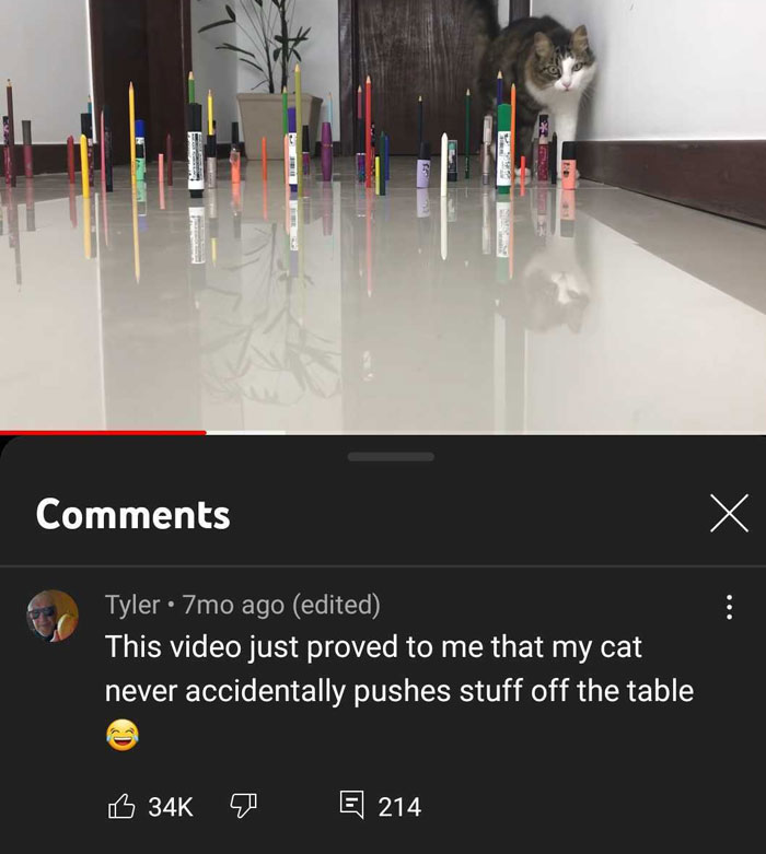 Youtube Comments - This video just proved to me that my cat never accidentally pushes stuff off the table