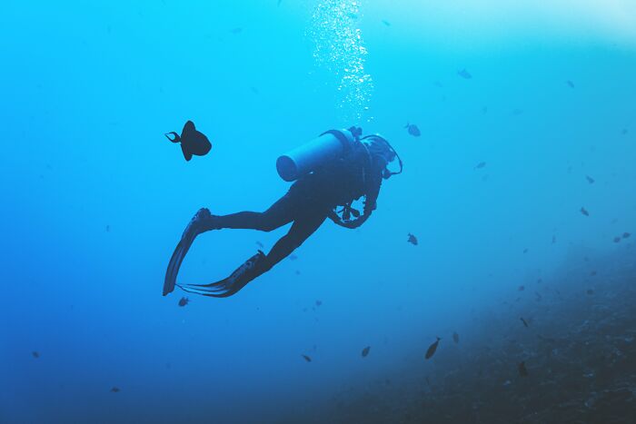 ocean facts - disturbing facts - scuba diving bsac
