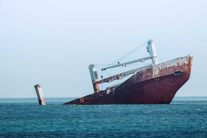 ocean facts - disturbing facts - sinking ship rat - Firm