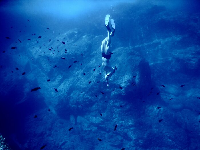 ocean facts - disturbing facts - deep sea swimming