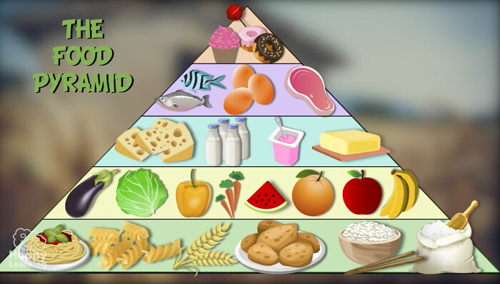 The food pyramid.