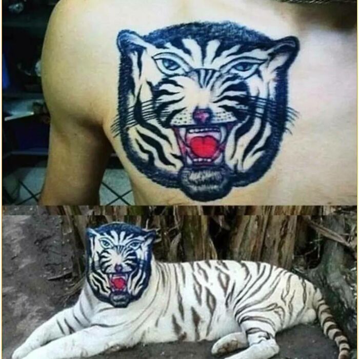terrible tattoos - tiger - Ve