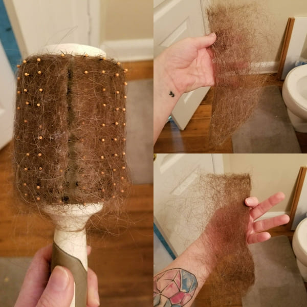 Gross but satisfying photos - lampshade
