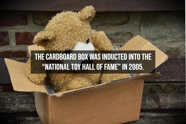 31 Interesting Facts You Probably Didn't Know.