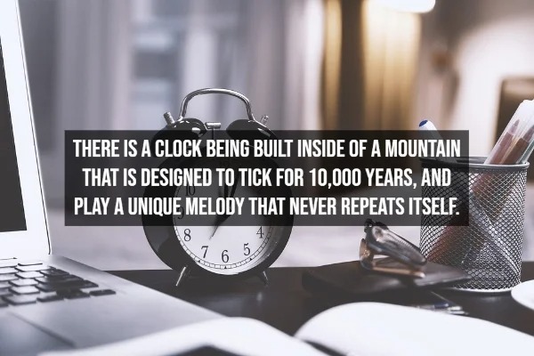 31 Interesting Facts You Probably Didn't Know.