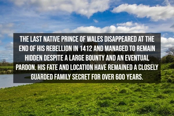 31 Interesting Facts You Probably Didn't Know.