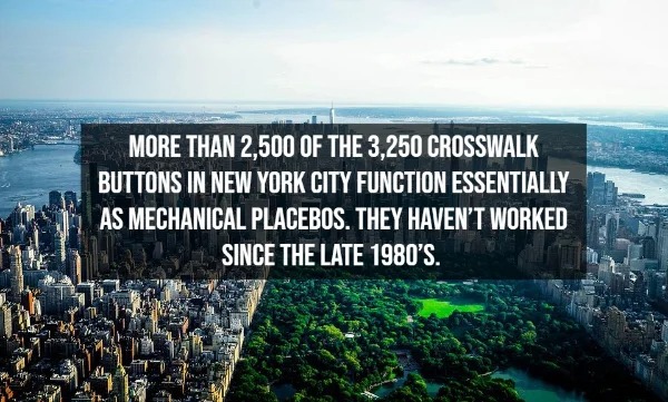 31 Interesting Facts You Probably Didn't Know.