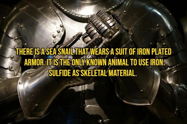 31 Interesting Facts You Probably Didn't Know.