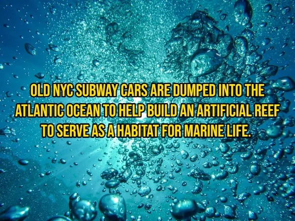 31 Interesting Facts You Probably Didn't Know.