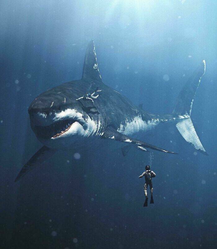 scary ancient photos - diving with megalodon
